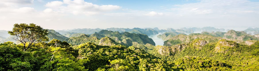 Le parc national de Cat Ba 