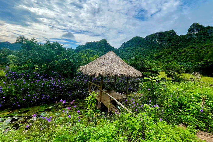 Coin du village de pêcheurs de Viet Hai