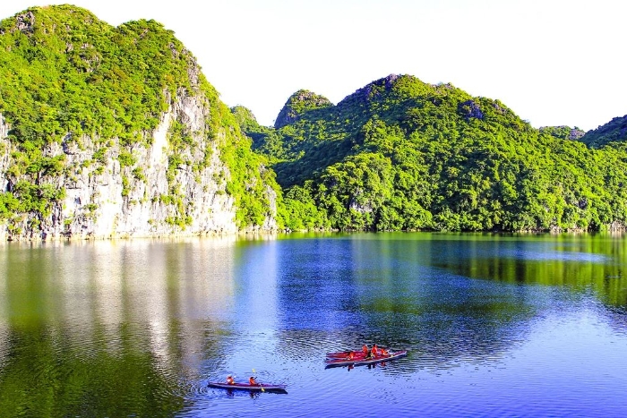 Que faire à Cat Ba ? Visiter le parc national de Cat Ba