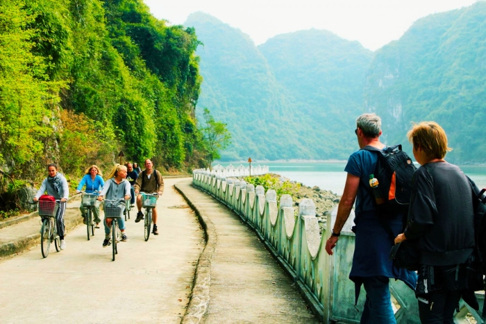 Balade à vélo à Viet Hai, au cœur d’une nature sauvage