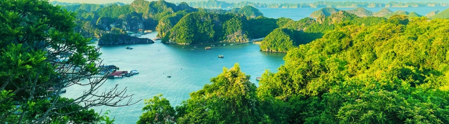 Tout savoir sur la baie de Lan Ha à Cat Ba