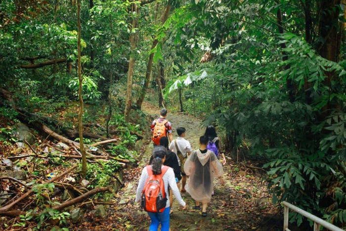 Que faire à Con Dao en 1 jour – Randonnée dans le parc national