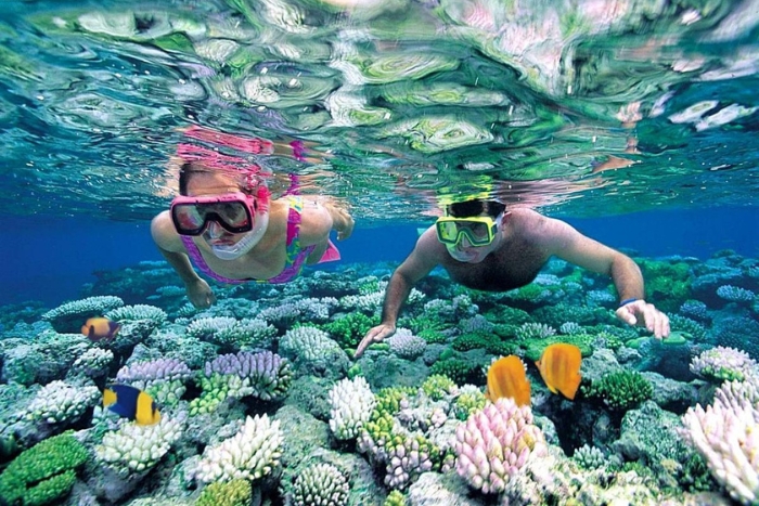 Snorkeling sur mon itinéraire d'une journée à Con Dao