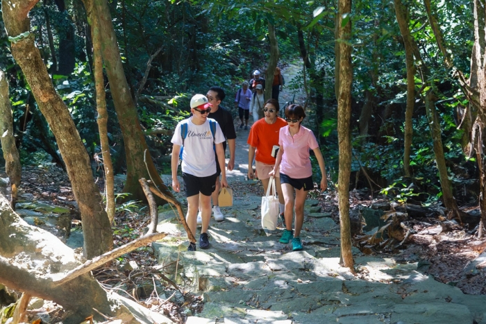 Parc national de Con Dao, incontournable lors d’un voyage à Con Dao