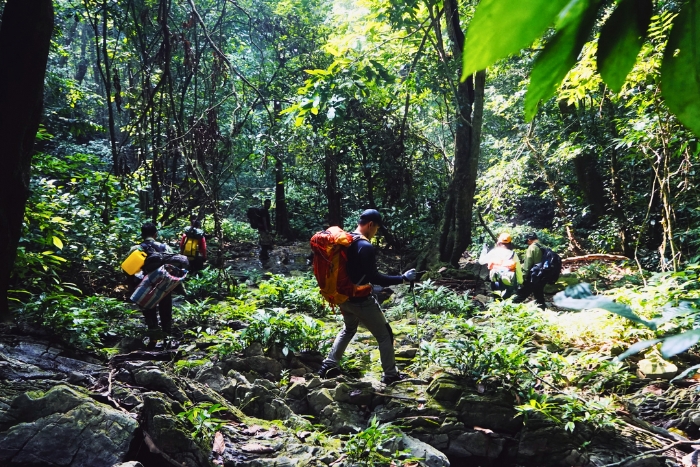 Le parc national de Con Dao, nature préservée et havre secret