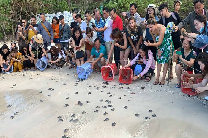 Con Dao attire touristes avec des activités touristiques associées à la protection de l'environnement