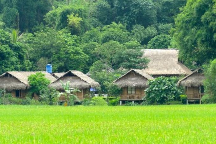 Vallé verte à Mai Chau