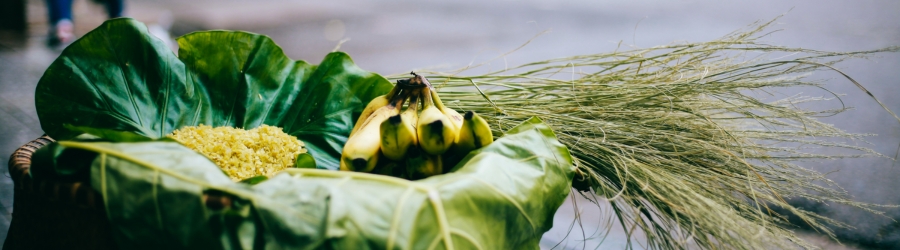 Que faire &agrave; Hano&iuml; en 36h ?