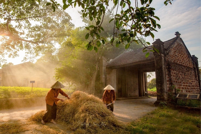 Meilleure saison pour visiter le village de Duong Lam