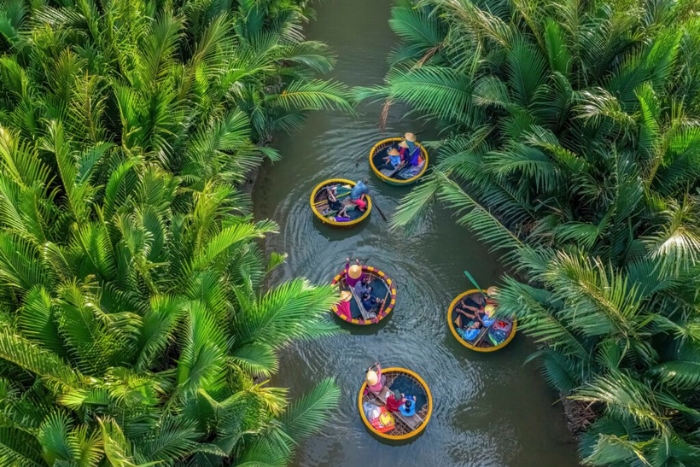 D&eacute;couvrir la for&ecirc;t de cocotiers de Bay Mau