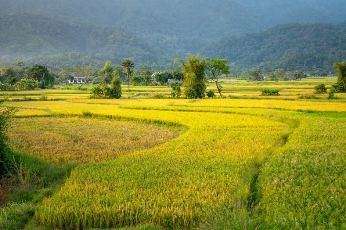 Expérience authentique de voyage en famille à Lai Chau
