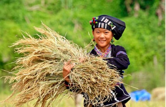 Voyage Lai Chau Dien Bien 4 Jours - Que Faire Au Nord Ouest Vietnam ?