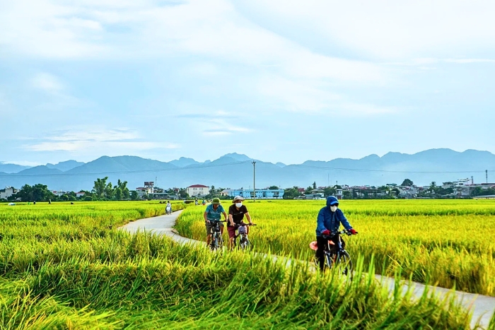 Le temps favorable permet de faire du vélo à travers les rizières