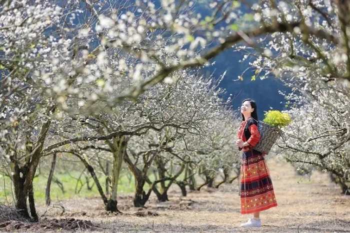 Visitez Lai Ch&acirc;u au printemps pour voir les fleurs recouvrant les montagnes de leurs couleurs