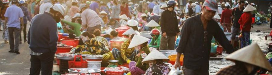 Une journée à Cau Ke Tra Vinh