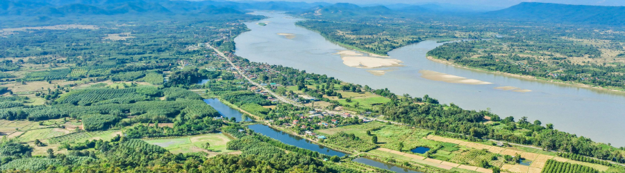 Une excursion d’une journée dans le Delta du Mékong 