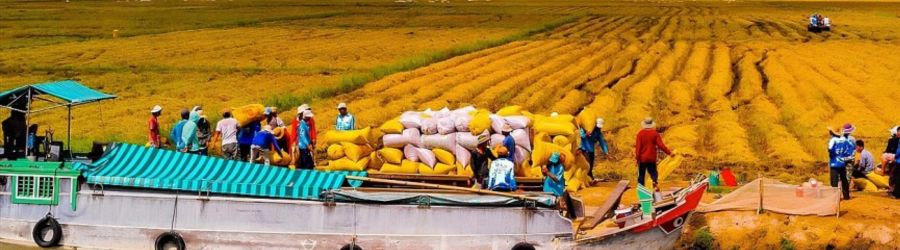 Voyage de Can Tho Sa Dec Long Xuyen 6 jours avec M. Lago