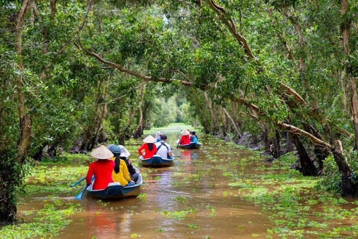 Forêt de mélaleucas de Tra Su