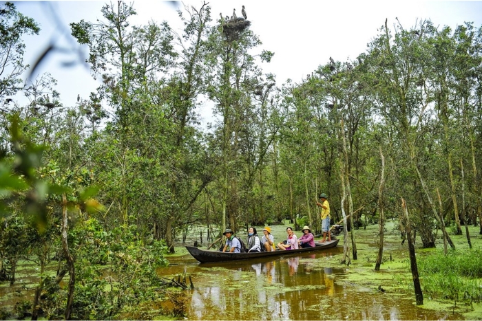 Parc national de Tram Chim