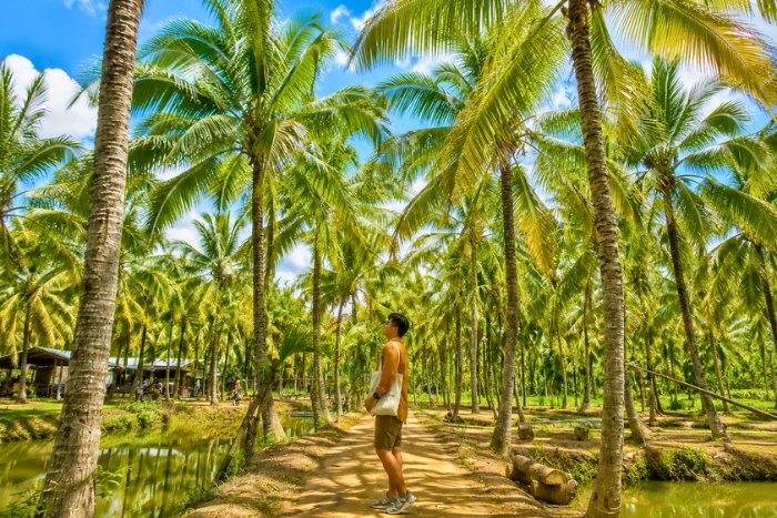 Le climat tropical du delta du Mékong