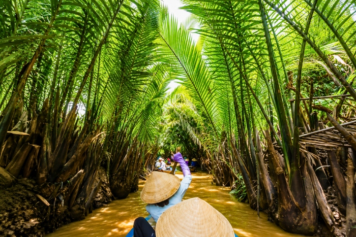 Beauté naturelle du delta du Mékong Vietnam
