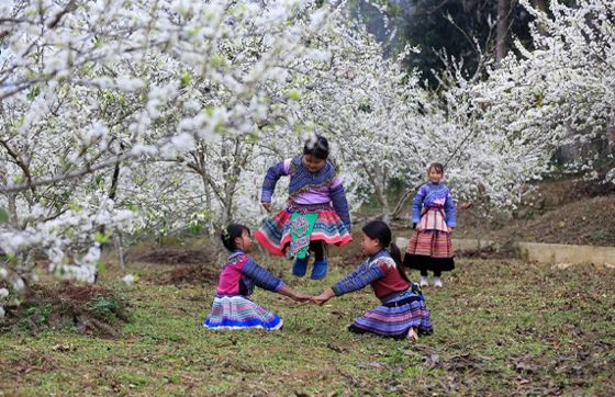 Avis Sur Litinéraire 1 Semaine à Sapa Bac Ha Vietnam Par Laurine