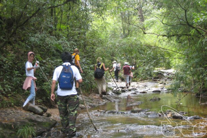 Que visiter à Sapa 5 jours ? Parc national de Hoang Lien