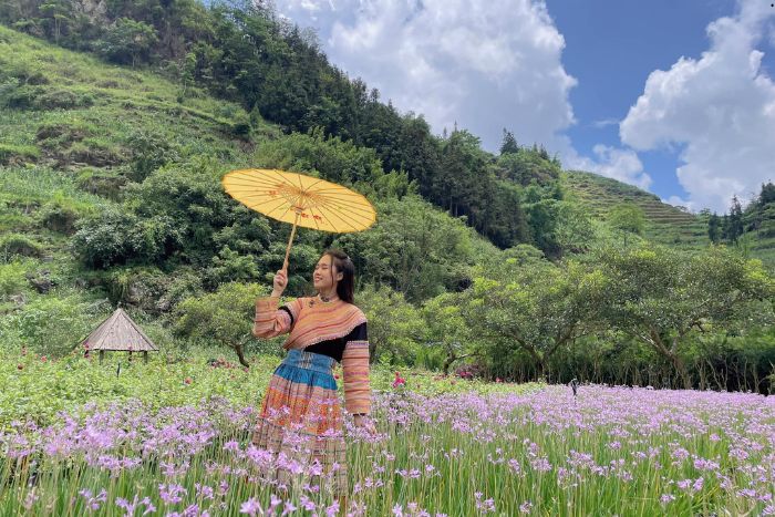 Vallée des fleurs de Bac Ha