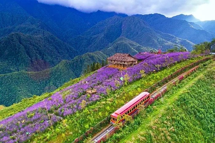 La beaut&eacute; presque irr&eacute;elle de la vall&eacute;e de Muong Hoa &agrave; Sapa