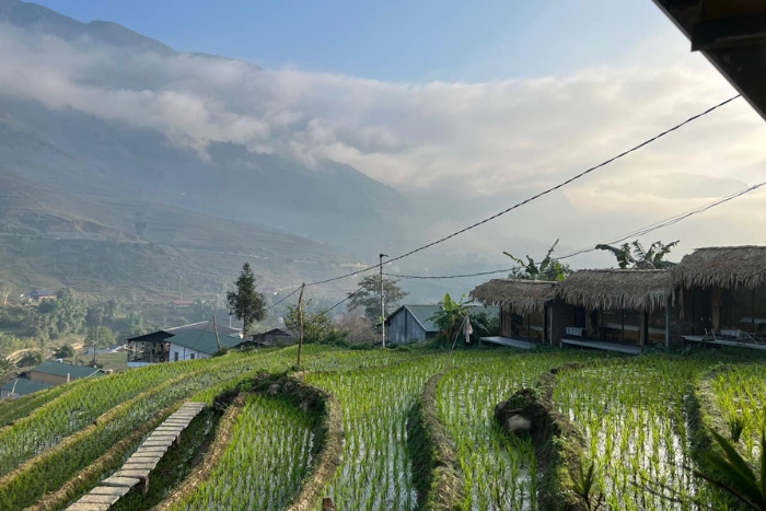 Cơmlam Eco House