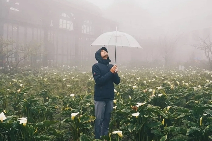Saison des pluies à Sapa (mai - septembre)