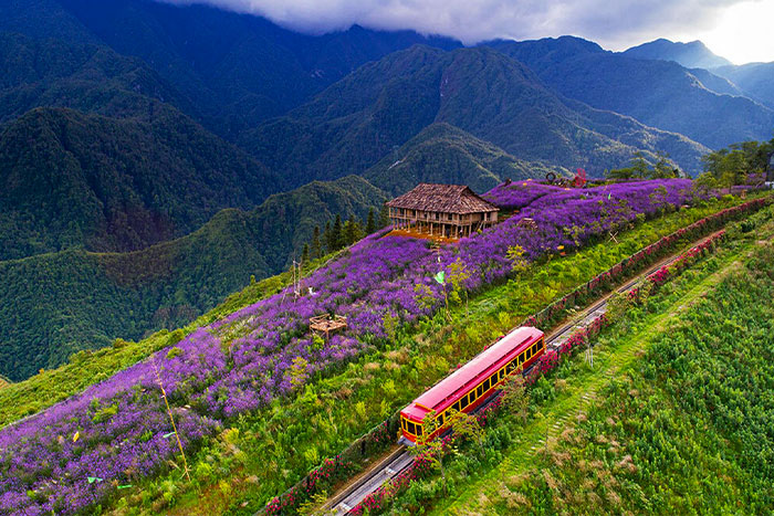 La beauté de la vallée de Muong Hoa