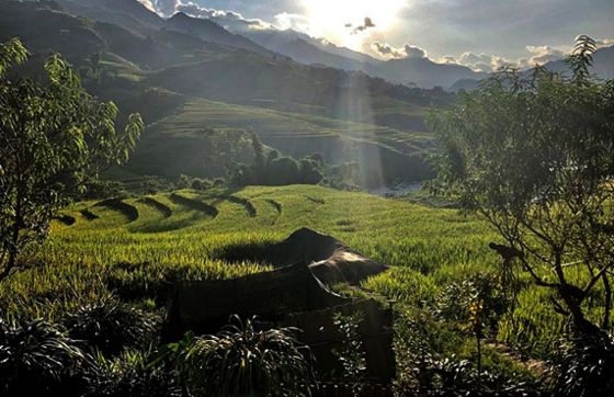 Que Faire à Sapa ? Visiter Le Village De Giang Ta Chai Sapa
