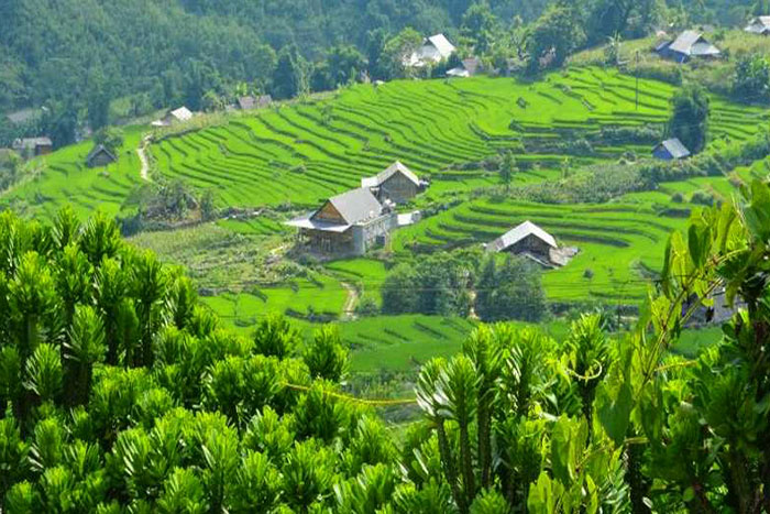 La verdure luxuriante enveloppe le village de Giang Ta Chai