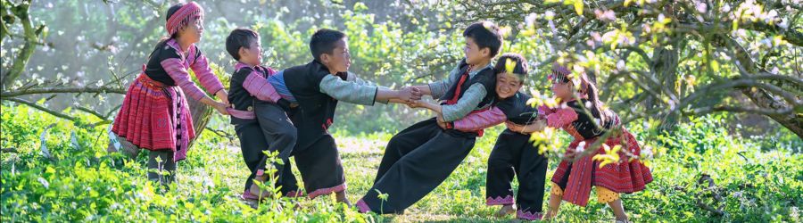 Choisir Sapa ou Bac Ha pour votre voyage au nord du Vietnam ? (photo : saison des fleurs de prunier à Bac Ha)