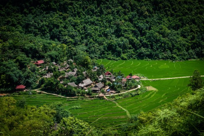 La réserve naturelle de Pu Luong au Vietnam