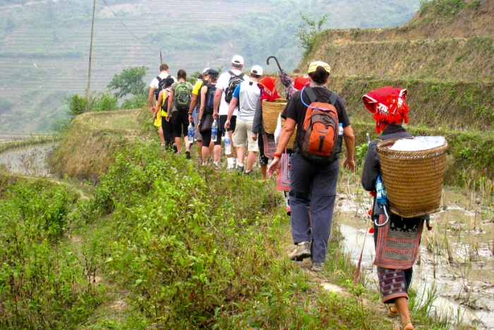 Trekking à Sapa