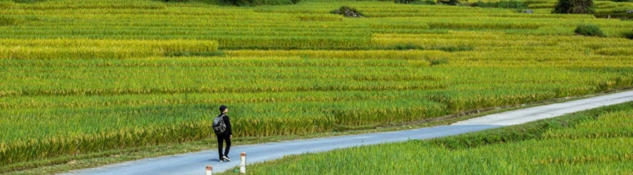 Choisir Sapa ou Ha Giang pour un voyage nature au Vietnam ?