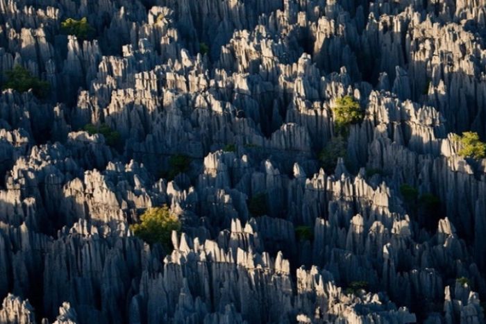 Forêt de pierres grises de San Chai à Si Ma Cai