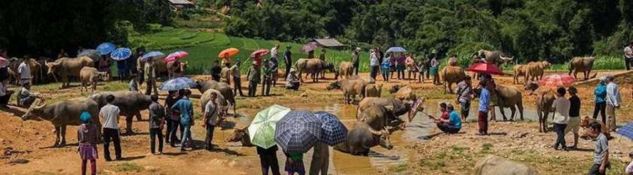 Marché de Sin Cheng à Sapa, au nord du Vietnam