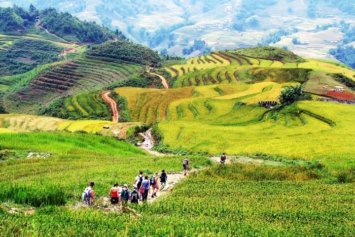 Randonnée dans la vallée de Sapa