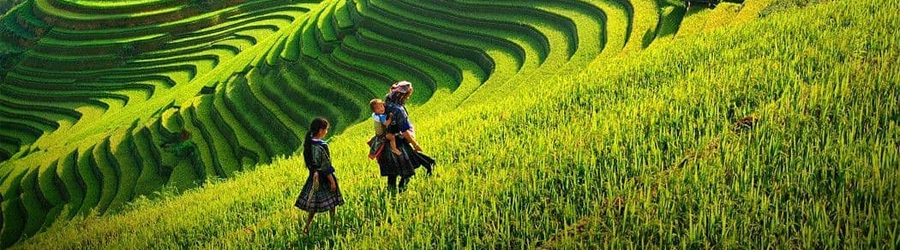 Voyage Sapa Lai Chau 4 jours 