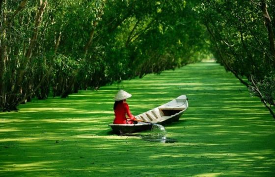 Opinion Sur Litinéraire 5 Jours à Tien Giang Vietnam Par Mme Karine