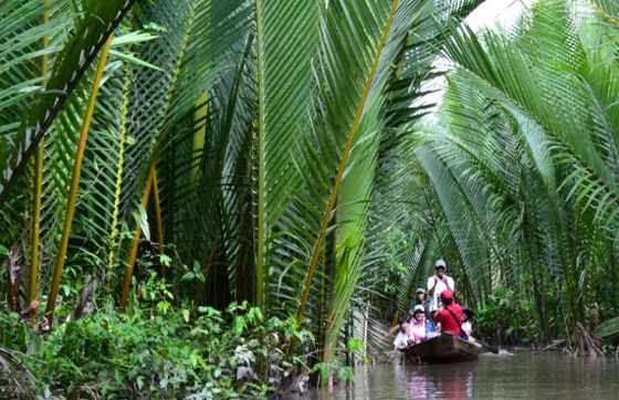 Découvrez Le Marché Flottant De Cai Be Et Lîlot Tan Phong, Tien Giang, Vietnam