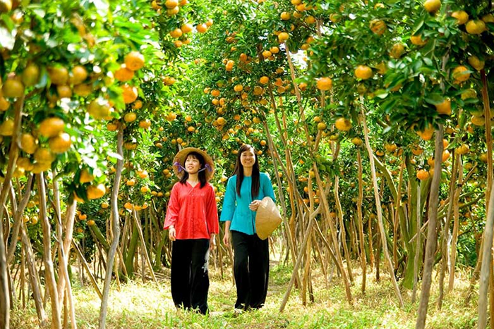 Visiter les vergers et les jardins à Cai Be, Vietnam