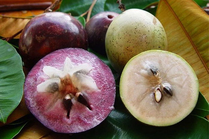 Pommes de lait de Lo Ren
