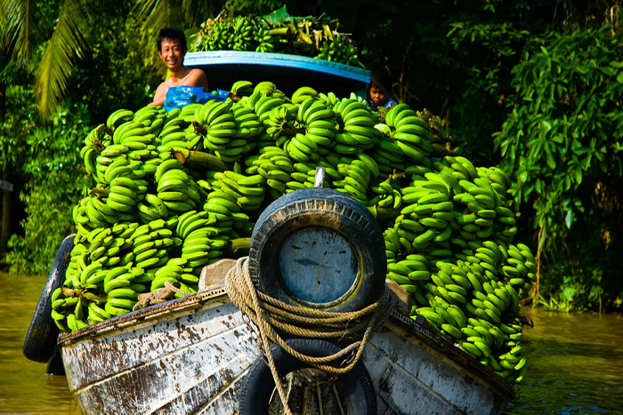 Découvrir l'îlot de Tan Phong