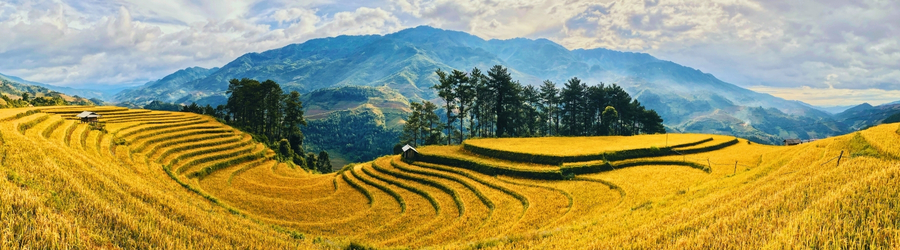 Vietnam 2 semaines en novembre