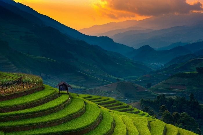 Les rizi&egrave;res de Mu Cang Chai, Vietnam en juin sont &agrave; leur apog&eacute;e 