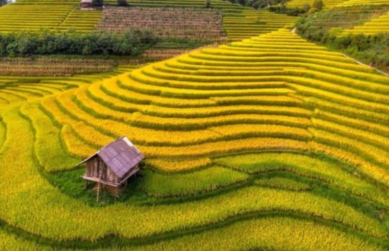 Voyage Nature Au Vietnam En Automne - Que Voir ?